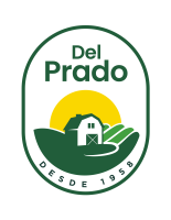 Del Prado Academia